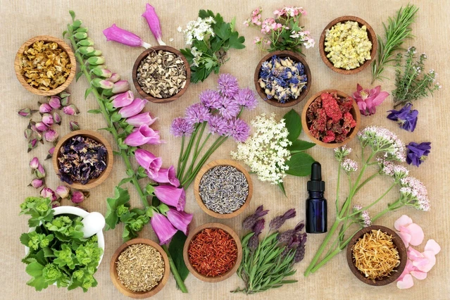 The ancient art of the herbalist: harvesting and processing essences